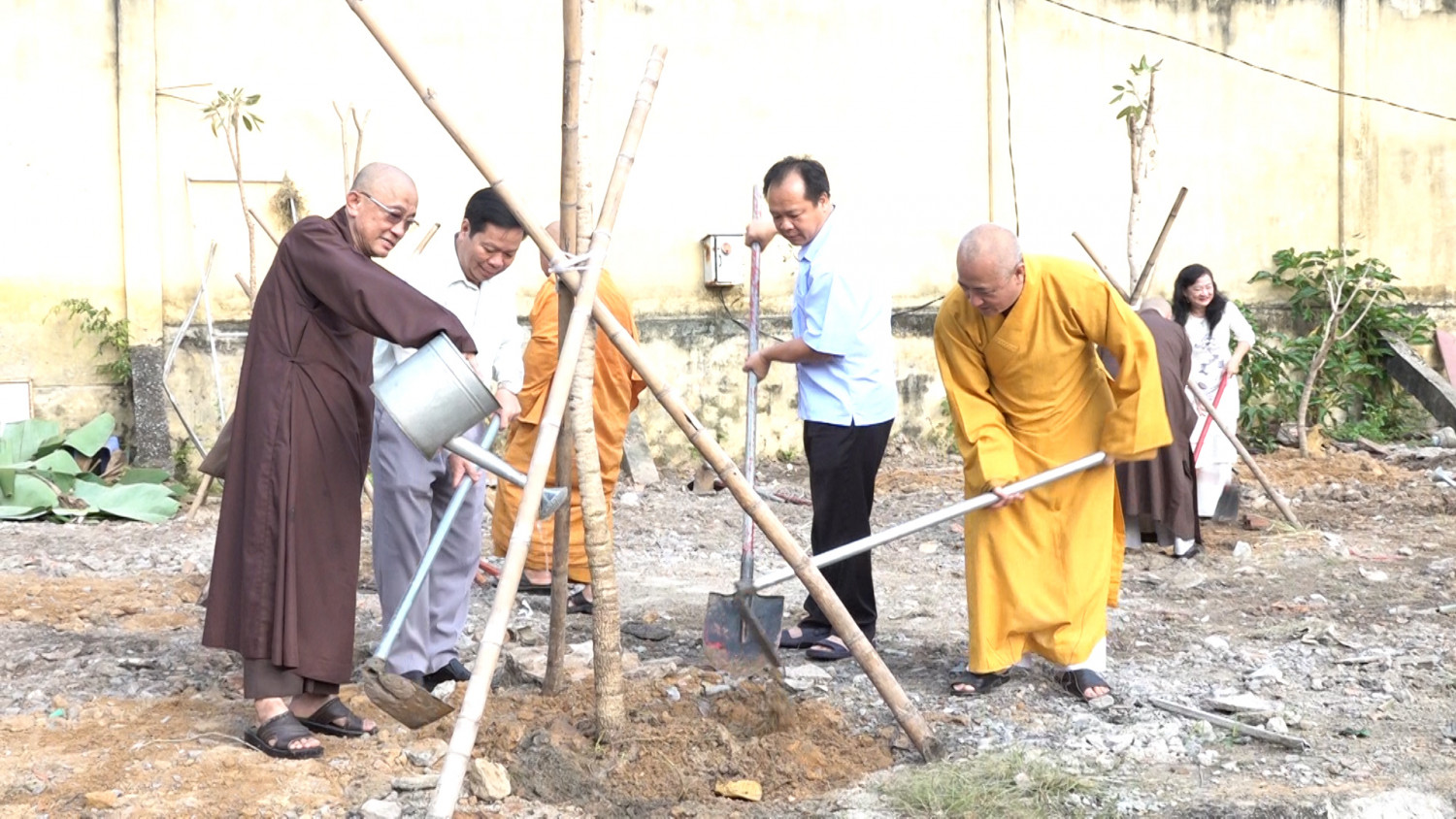 hinh 05 Cac to chuc ton giao cung tham gia trong cay huong ung phu xanh do thi TDM