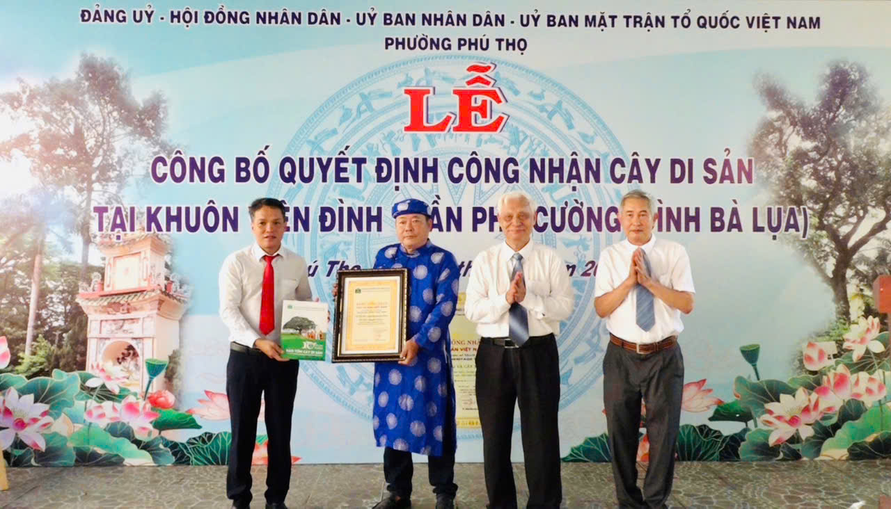 Phường Phú Thọ tổ chức Lễ công bố Quyết định công nhận cây di sản Việt Nam